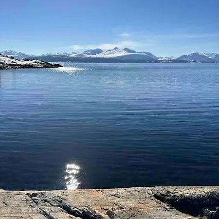 Sjarmerende Og Romslig Bolig, Omgitt Av Vakker Molde